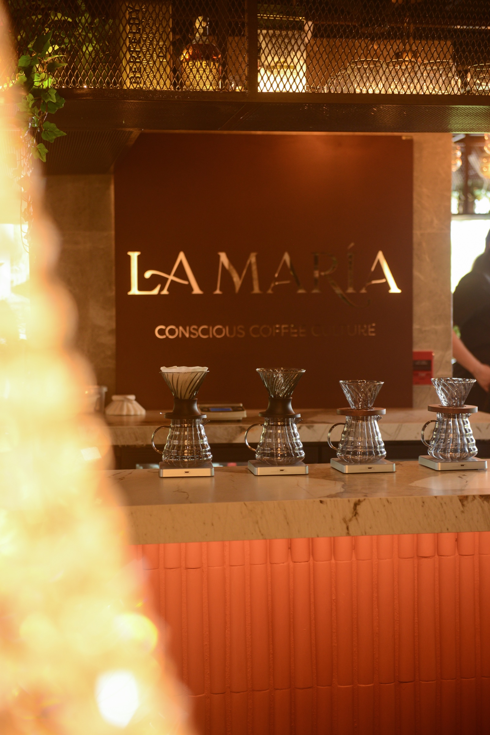 Café La María — barra con logo y setup de café