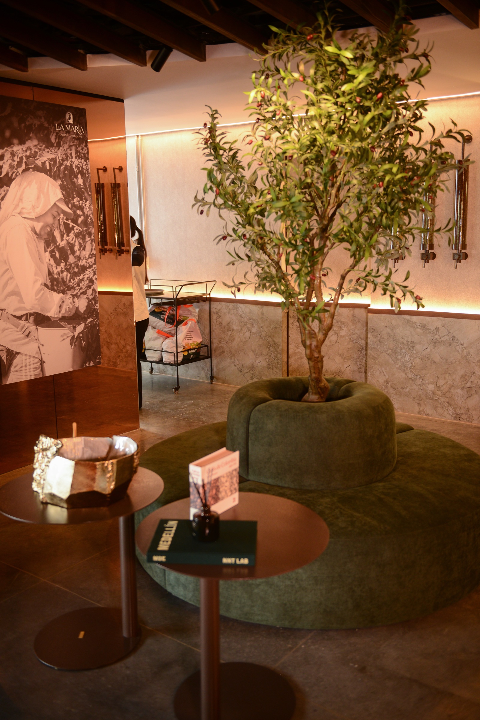 Café La María — interior con árbol y sofá verde